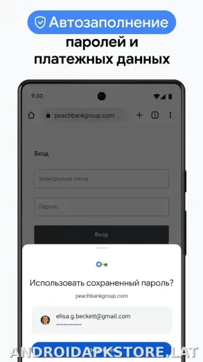 Google Chrome скриншот 6